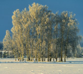 Морозное утро