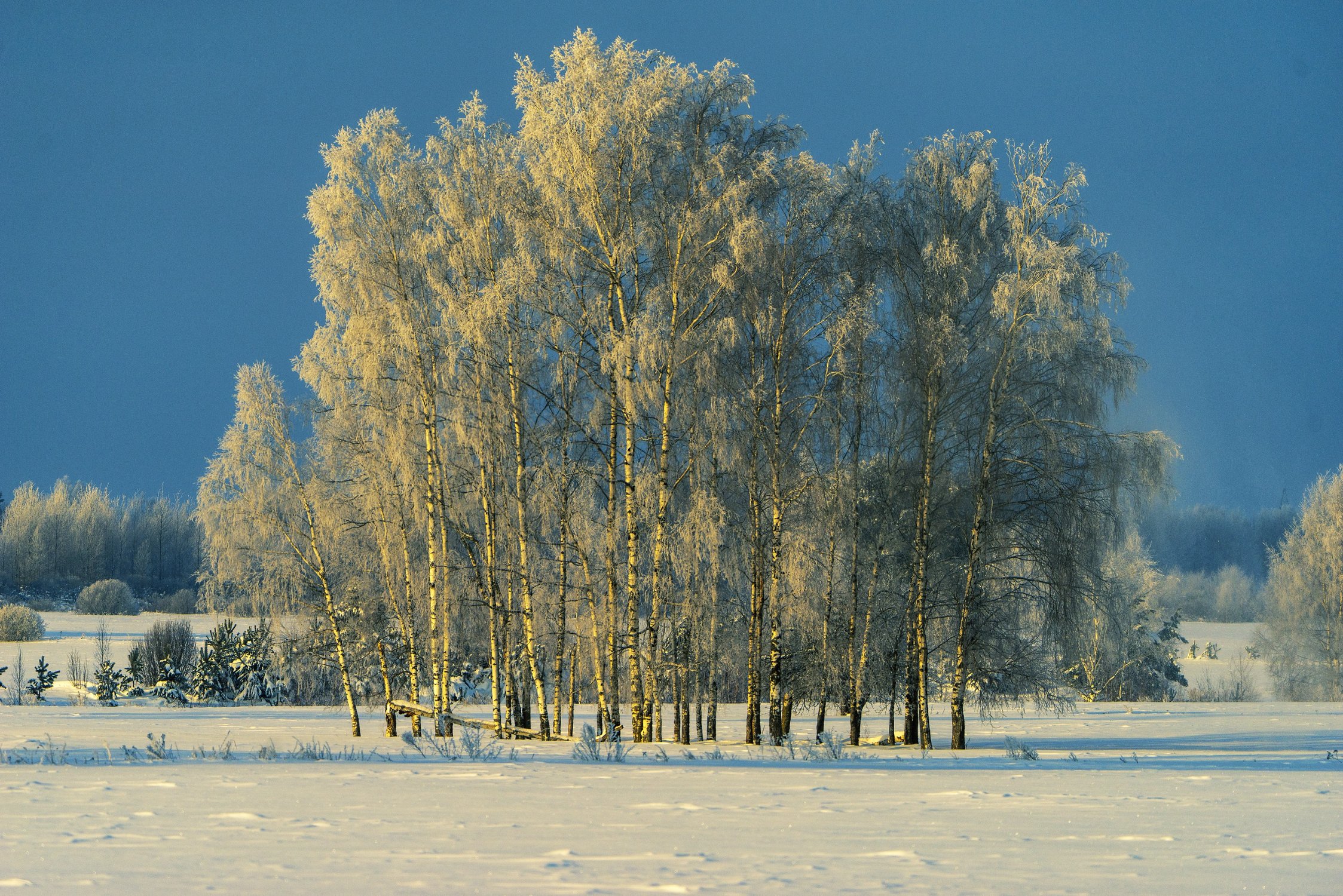 Морозное утро