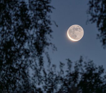 Пепельный свет Луны