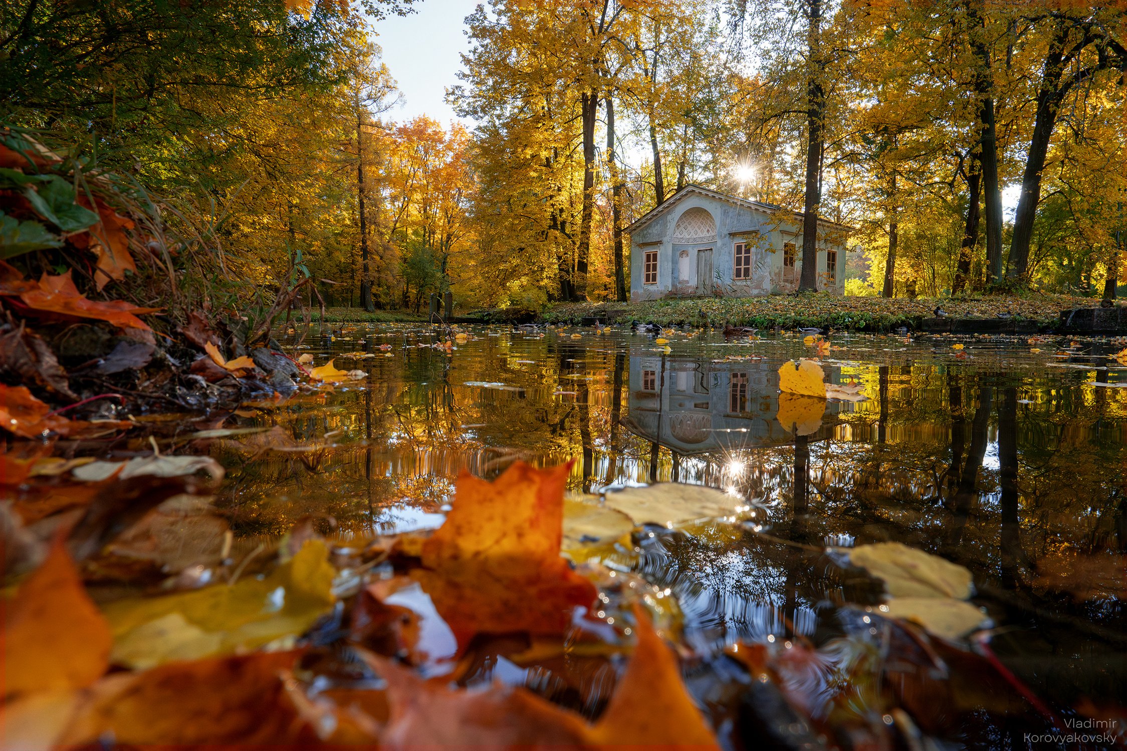 Золотая осень в Царском Селе