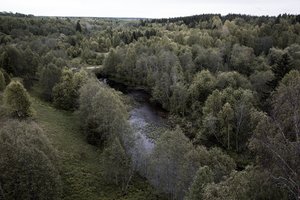 Жажда севера: пост-знакомство