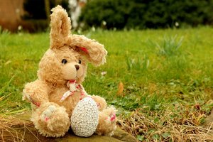 В состав экспедиции на МКС вошел плюшевый кролик