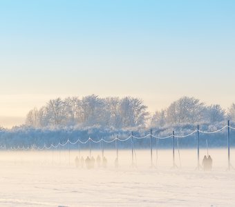 Дорога домой