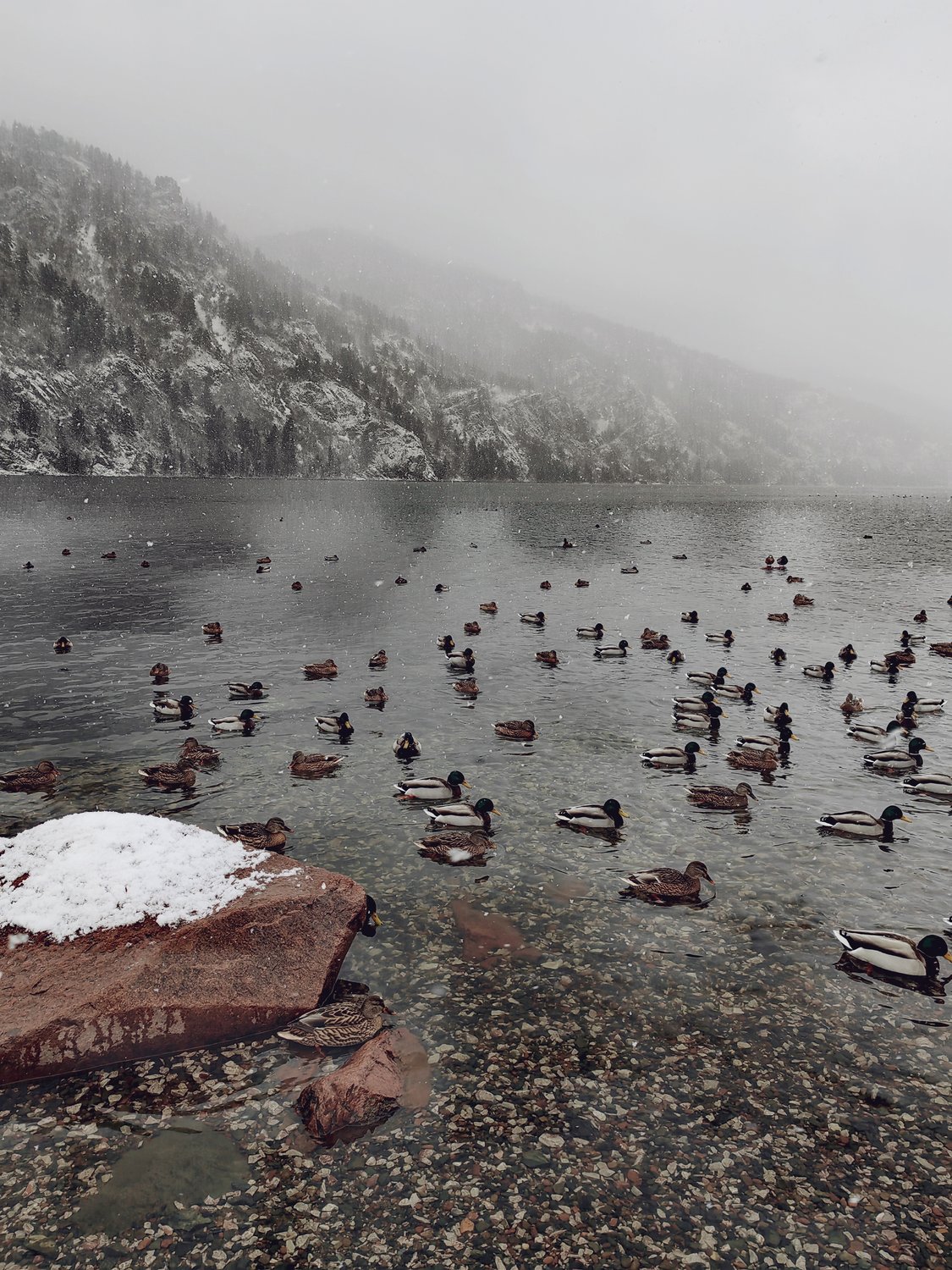 «Невыездные» на Енисее