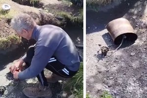 Россиянам запретили въезд в Чили на три года: они нарушили правила парка