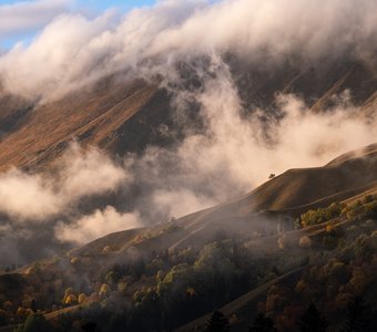 Туманы Архыза (после дождя)