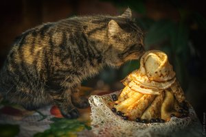 Где и как отмечать Масленицу: от блинов в Москве до корюшки во Владивостоке