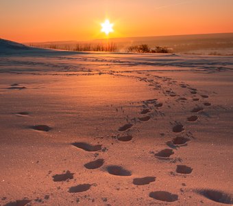 Морозное утро во Владимире