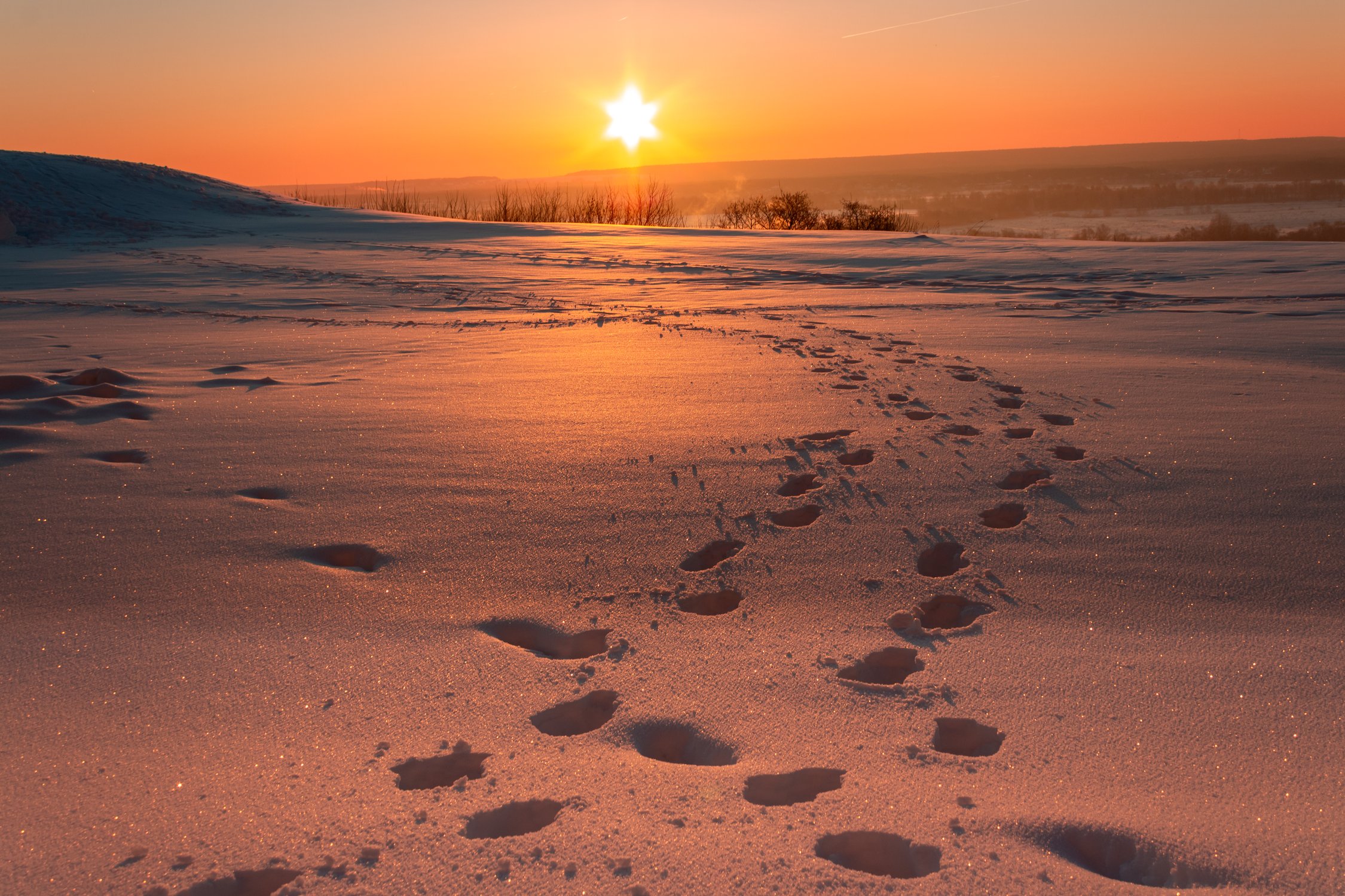 Морозное утро во Владимире