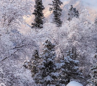 Картины февраля