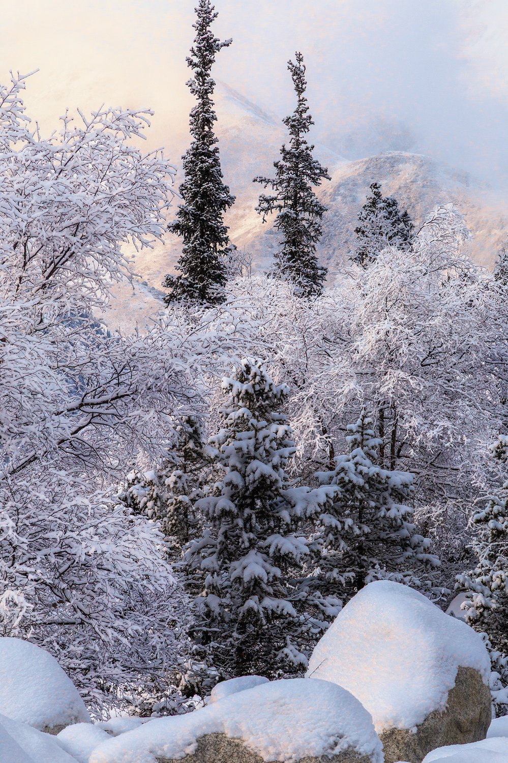 Картины февраля