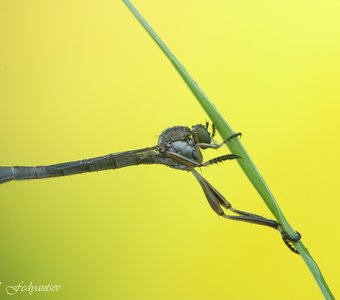 Отдых ктыря