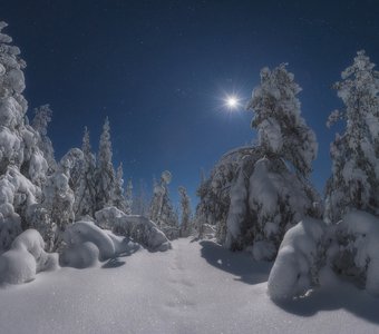 Зимней ясной ночью