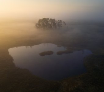 Мистическое северное болото