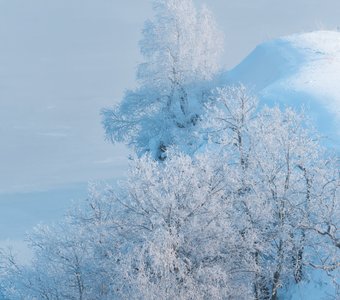 Морозный иней