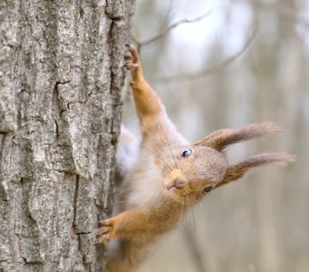 Ставрополь, парк