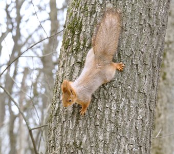 Ставрополь, парк