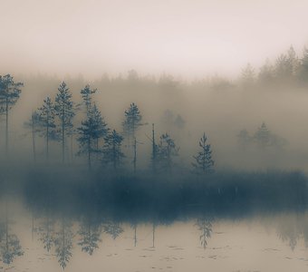 Северный туман