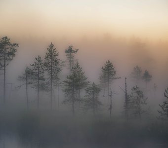 Северный туман.