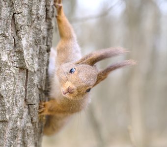 Ставрополь, парк