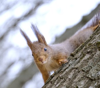Ставрополь, парк