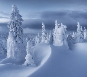 Все оттенки синего