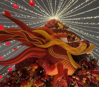 Китайский Новый год в Москве