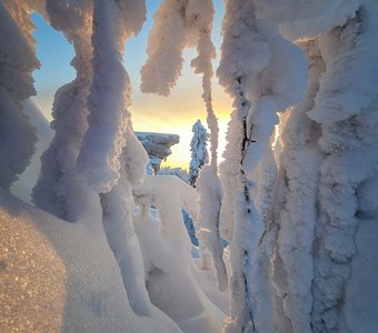 В снежном окошке