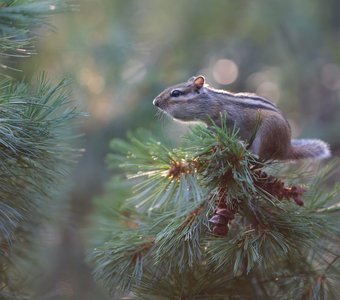 Кто-то тут уже побывал...!