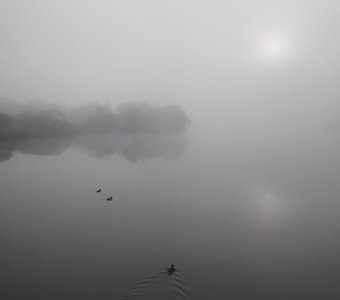 Туманное утро