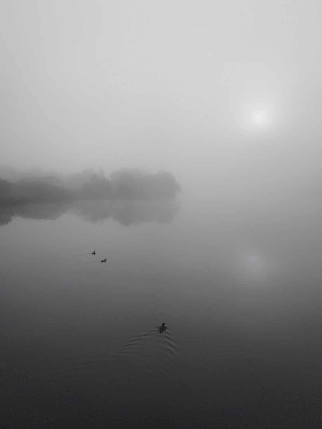 Туманное утро