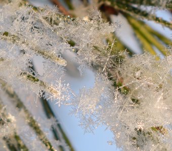 Зимний хрусталики