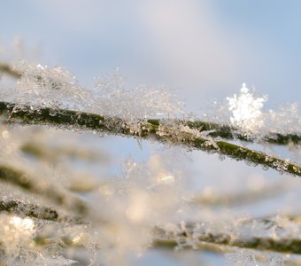 Зимний хрусталь