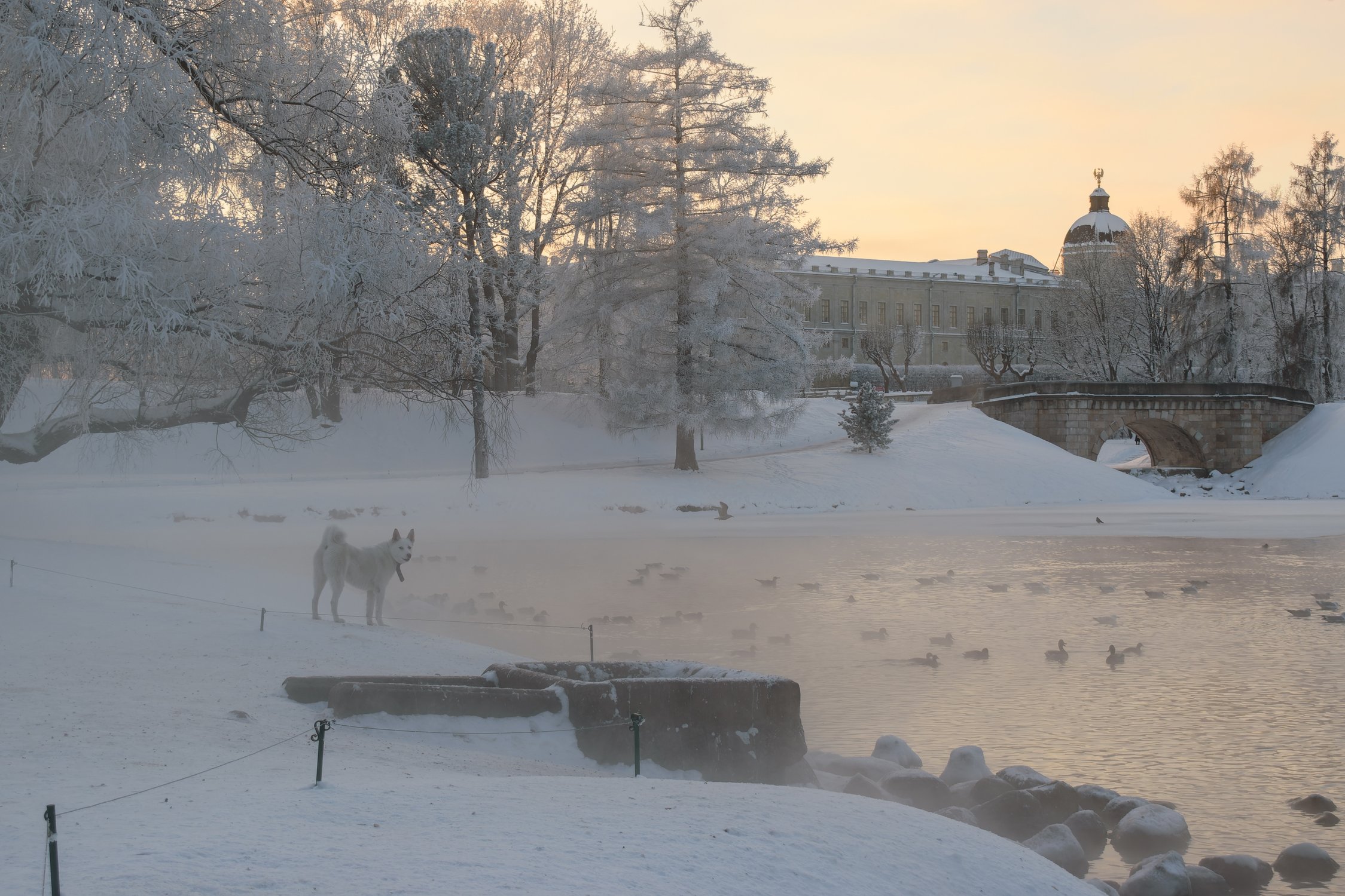 Белый охотник
