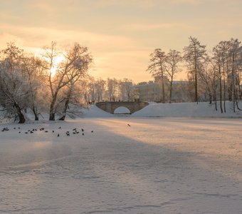 Дворцовый парк Гатчины
