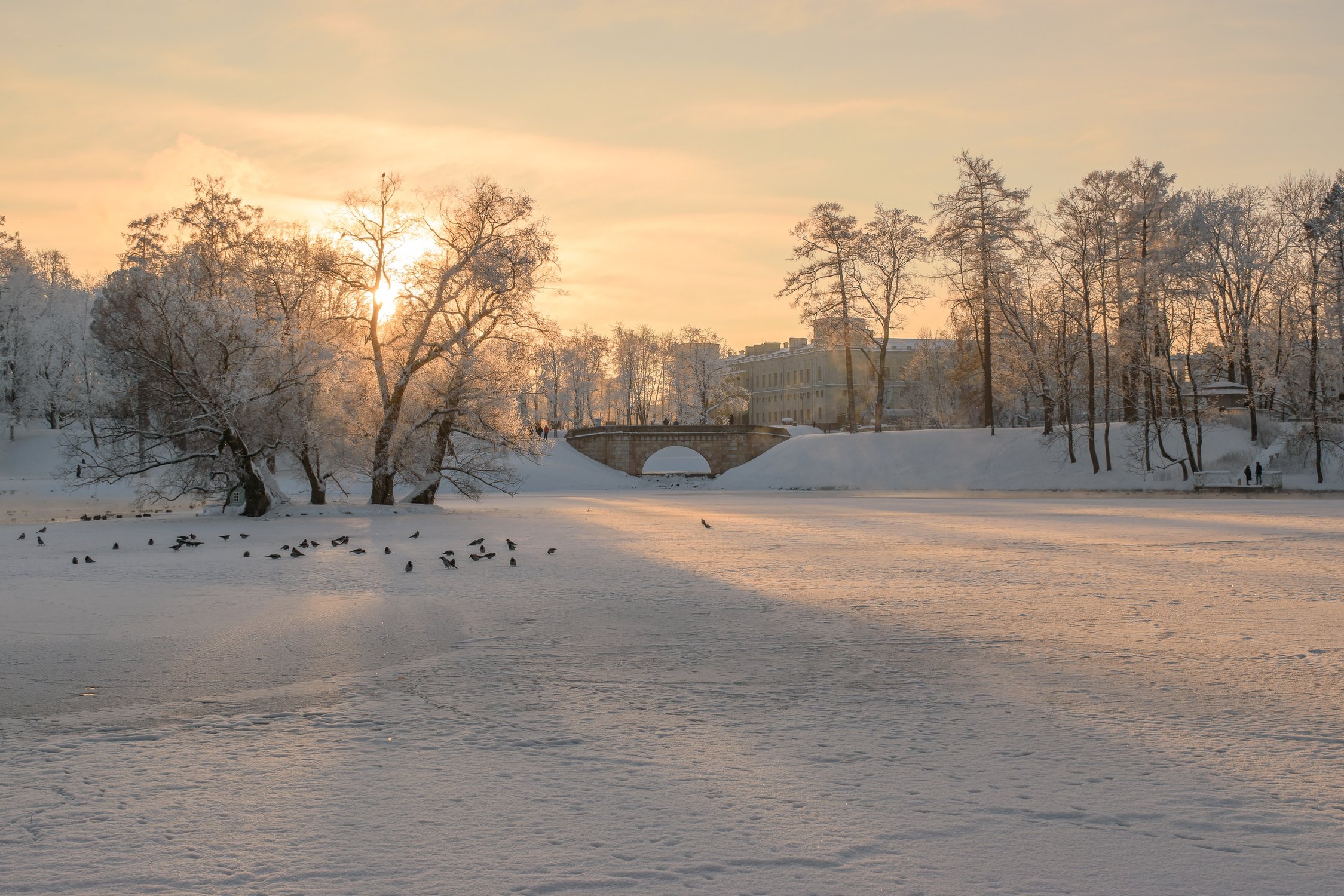 Дворцовый парк Гатчины