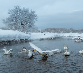 Зима на Камчатке