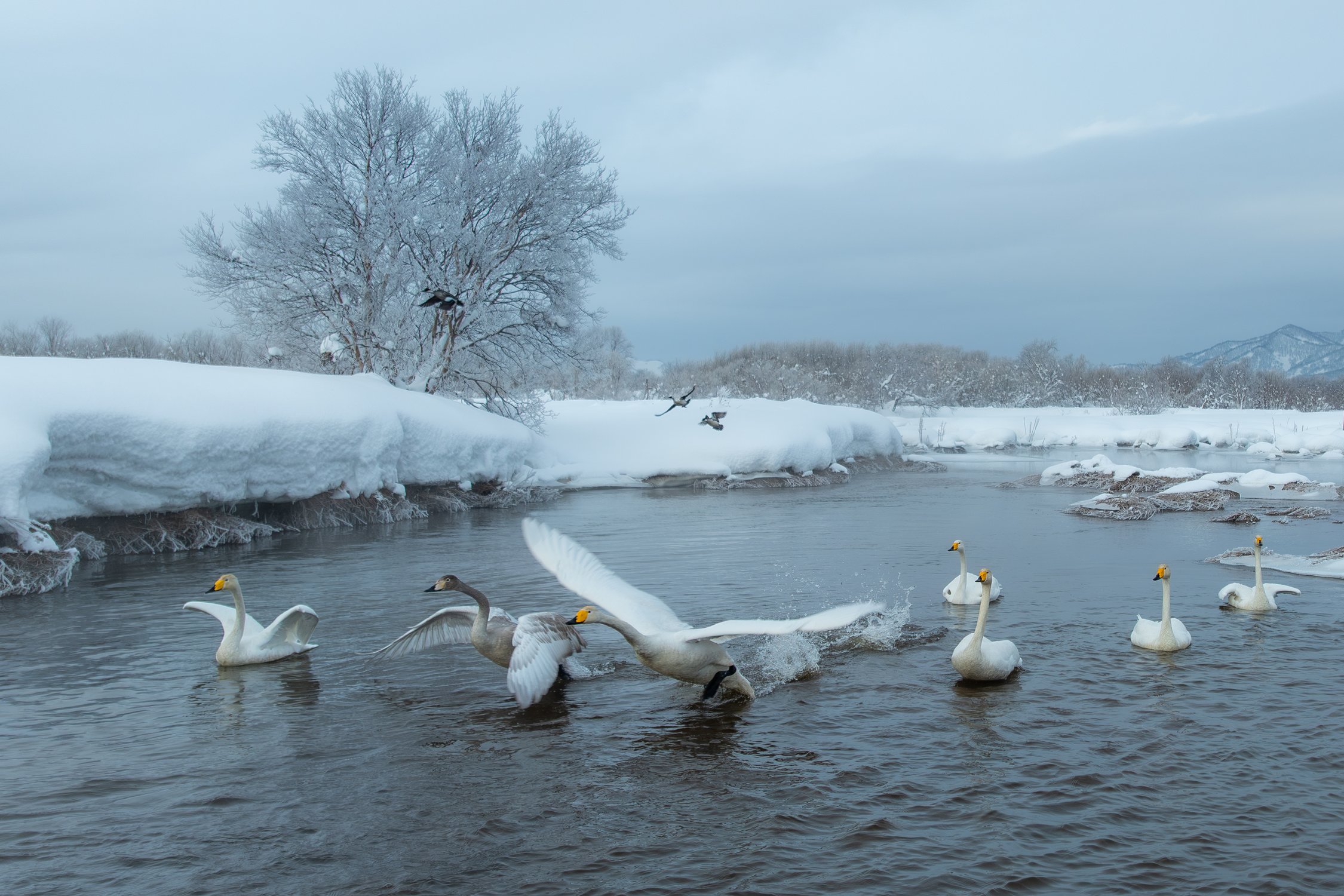 Зима на Камчатке