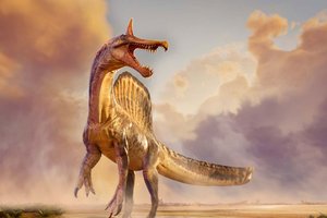 Череп, найденный в Сахаре, позволил описать новый вид спинозавра