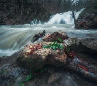 Вода, вода, кругом одна вода