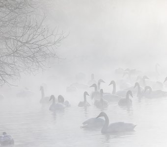 Нереальное