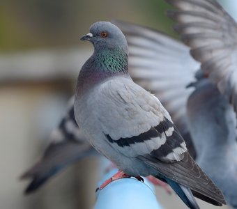 На выставке