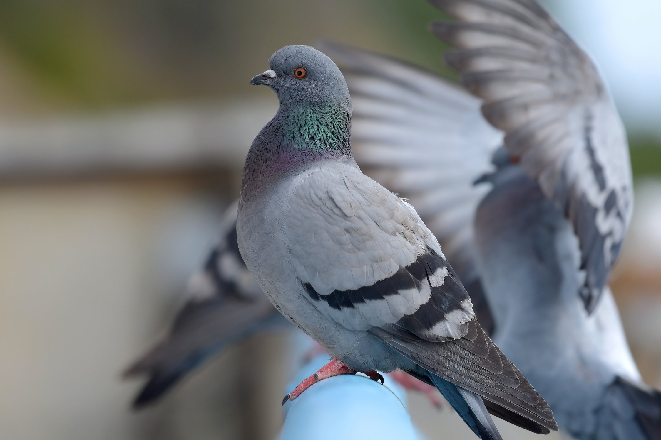 На выставке