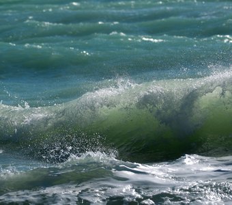 Волна бежит на этот берег