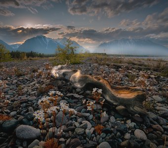 У подножия Байкальского хребта