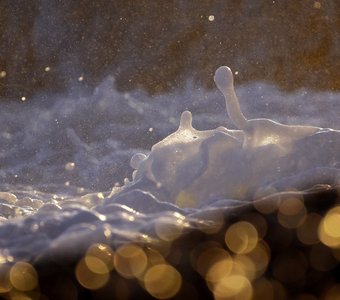 Золото моря