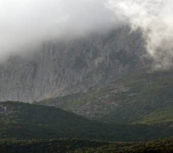 Туманный Альбион