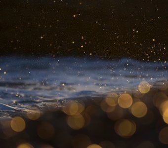 Золото моря