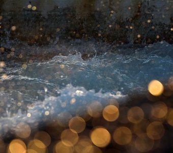 «Золото моря»