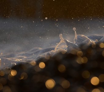 «Золото моря»